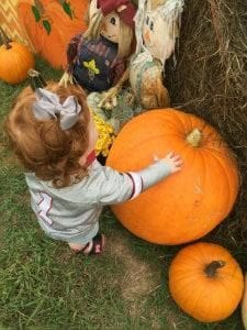 Best Reasons To Visit Faye Whittemore Farms | Birminghamparent.com