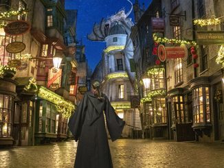 The Wizarding World of Harry Potter at Universal Studios Florida
