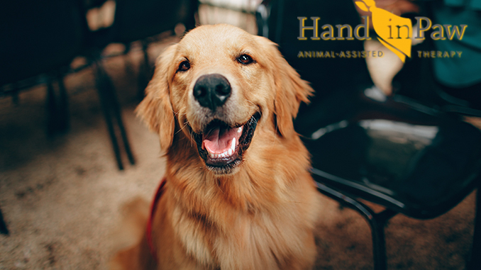 Hand in Paw Celebrates 25 Years of Service and Announces Plans to Return to In-Person Visits