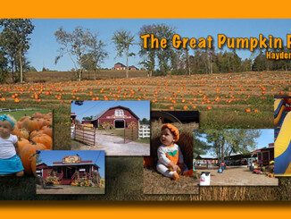 Great Pumpkin Patch - Hayden. AL