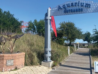 the Alabama Aquarium At Dauphin Island Sea Lab