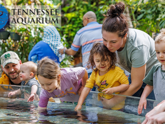 Win 3 Tickets to Tennessee Aquarium in Chattanooga