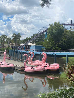 Flamingo Paddle Boats