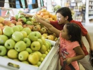 What's in Your Child's Lunch Box? | Birminghamparent.com