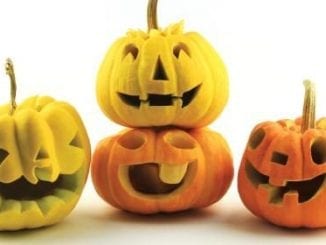 Creative and Fun Things to Do With Pumpkins | Birminghamparent.com