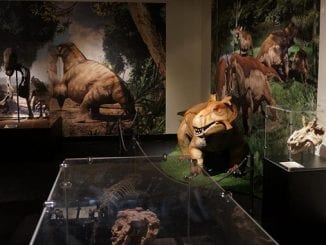 Permian Monsters: Life before the Dinosaurs