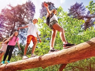 2020 Birmingham Parent Kids' Camp Directory