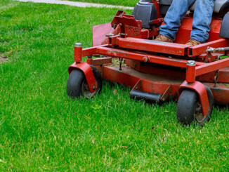 Lawn Equipment: Get Ready for Backyarding in High Style This Year