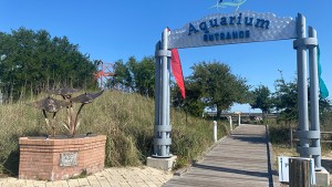 Dauphin Island Sea Lab Plans Reopening of Renovated Alabama Aquarium