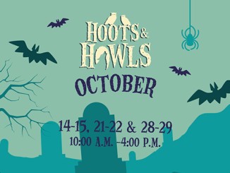 Hoots & Howls: Daytime Halloween Event