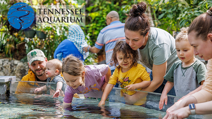 Win 3 Tickets to Tennessee Aquarium in Chattanooga