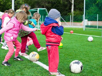 The Science and Importance of Play, in Health, Education and In the Workplace