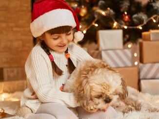 Pets Are for Life, Not Just for the Holidays