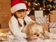 Pets Are for Life, Not Just for the Holidays