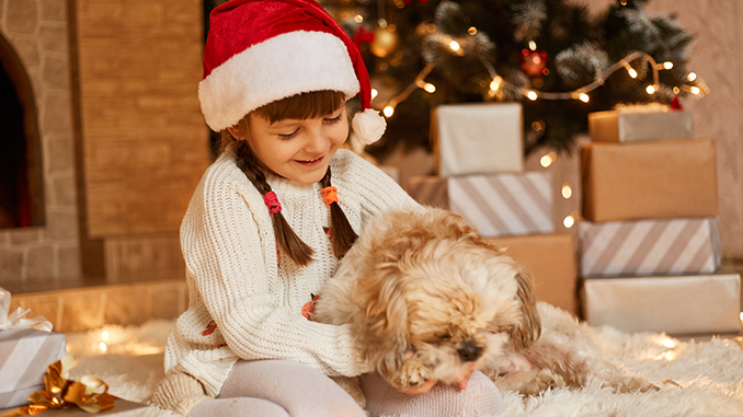 Pets Are for Life, Not Just for the Holidays