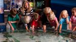 McWane Science Center - Petting Tank