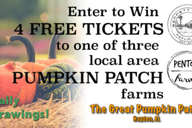 Pumpkin Patch Giveaway