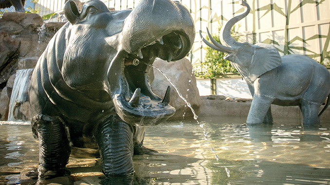 Gulf Coast Zoo