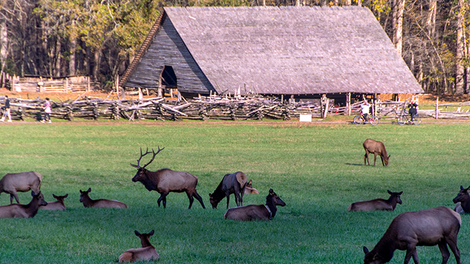 Bryson City, NC - Elk-Mountain Farm Museum