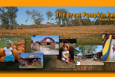 Great Pumpkin Patch - Hayden. AL