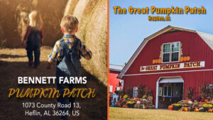 Win a Set of 4 Tickets to Bennett Farms or The Great Pumpkin Patch!