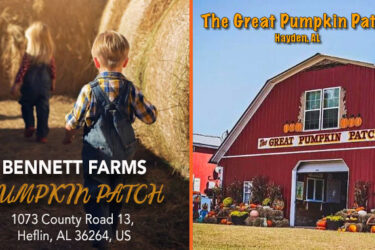 Win a Set of 4 Tickets to Bennett Farms or The Great Pumpkin Patch!
