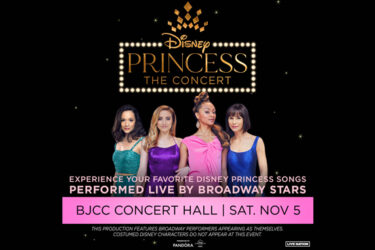 Disney Princess Concert
