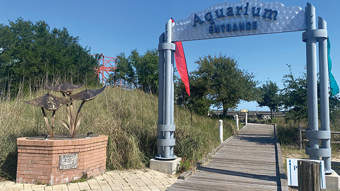 the Alabama Aquarium At Dauphin Island Sea Lab