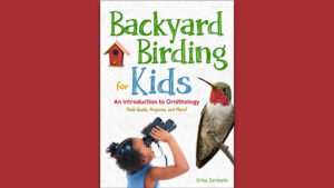 Backyard Birding for Kids