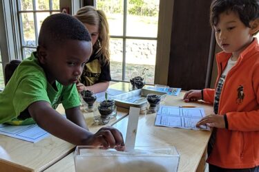 Public or Private School?