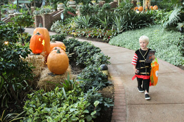  Goblins & Giggles Returns to Gaylord Opryland in Nashville