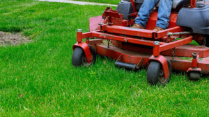 Lawn Equipment: Get Ready for Backyarding in High Style This Year