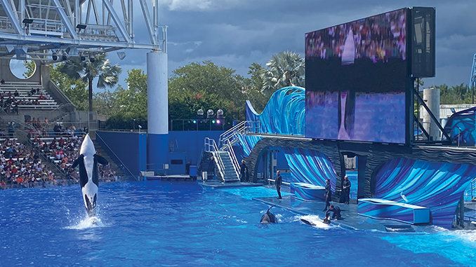 What’s New at SeaWorld Orlando?||