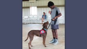 Service Dogs Alabama