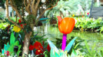 Spring It On at Gaylord Opryland Resort|