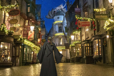 The Wizarding World of Harry Potter at Universal Studios Florida