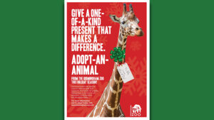 Adopt an Animal at the Birmingham Zoo! |Adopt an Animal at the Birmingham Zoo! 