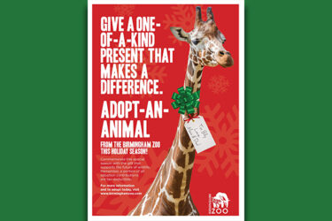 Adopt an Animal at the Birmingham Zoo! |Adopt an Animal at the Birmingham Zoo! 