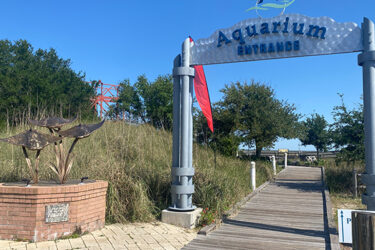 Dauphin Island Sea Lab Plans Reopening of Renovated Alabama Aquarium|The Alabama Aquarium