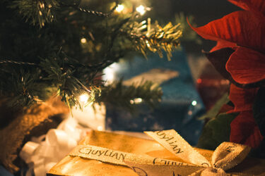 Alone for the Holidays?