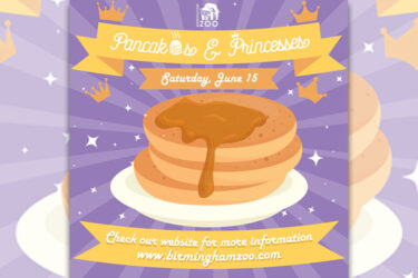 Have Pancakes with Princesses June 15