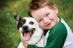 Top 7 Apps and Websites for Pet Owners | Birminghamparent.com