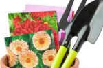 10 Ideas for Party Bags and Party Favors | Birminghamparent.com