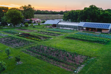 Jones Valley Teaching Farm's 2022 Farm Stand Opens to the Public