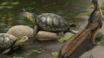 New Species of Giant Fossil Turtle Discovered in Alabama|