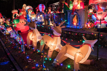 The Wacky Tacky Light Tour – Big Lights