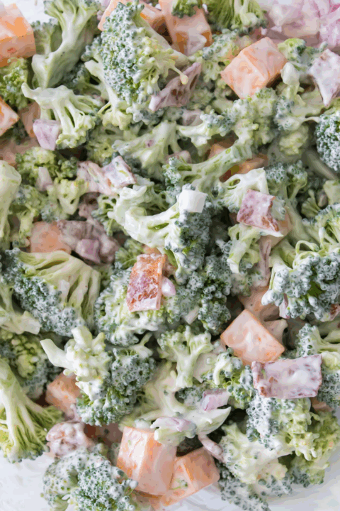 Super Simple Broccoli Salad Recipe