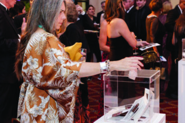 Viva Health Gala, Photo by alystephens.org