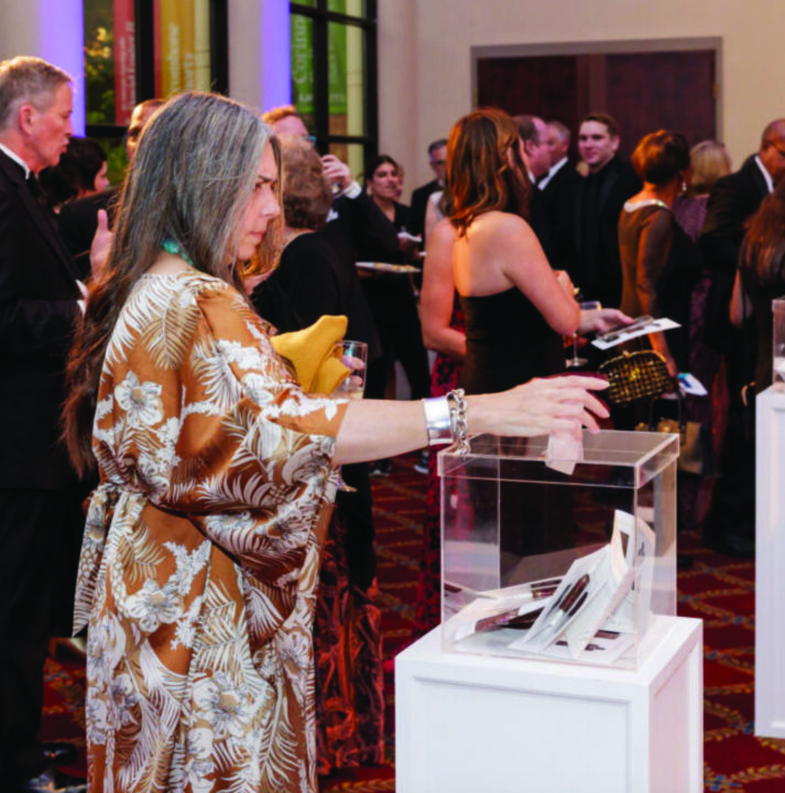 Viva Health Gala, Photo by alystephens.org