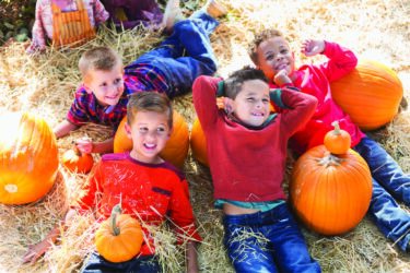 Can’t Miss Family-Friendly Fall Festivities